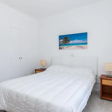 Brezos * Palma de Mallorca