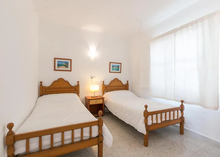 Brezos Palma de Maiorca