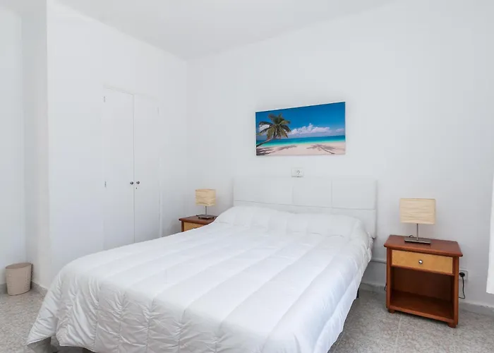 Brezos * Palma de Maiorca