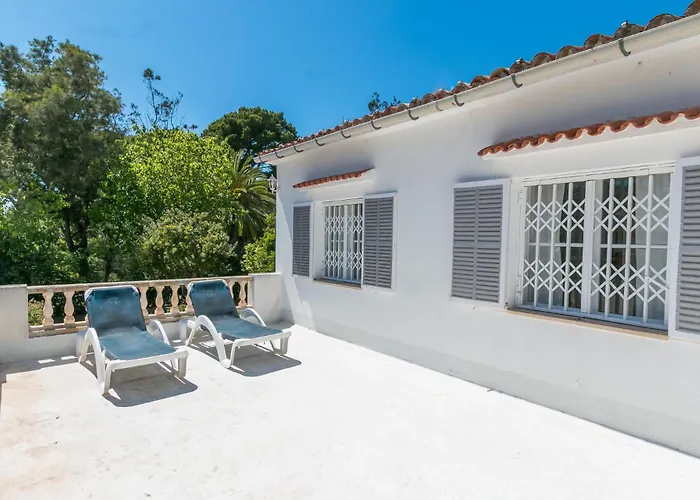 Brezos Villa Palma de Maiorca