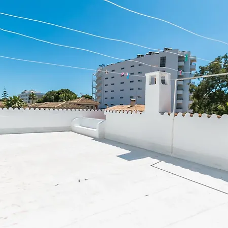 Brezos * Palma de Mallorca