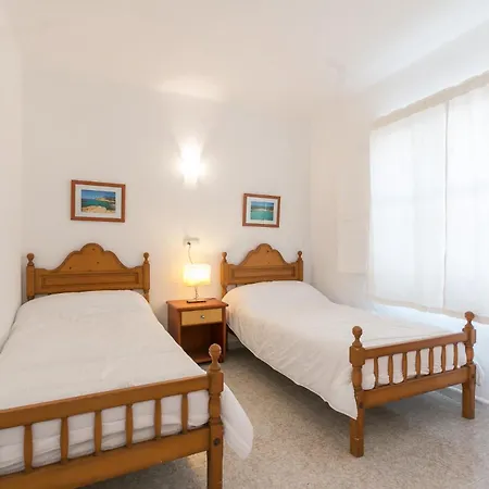 Brezos Palma de Mallorca