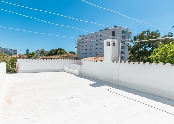 Brezos * Palma de Mallorca